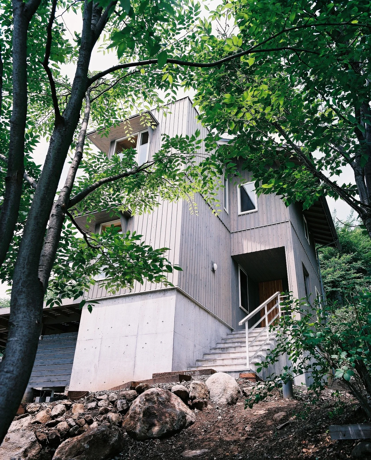 木々のあいだに立つ建築。