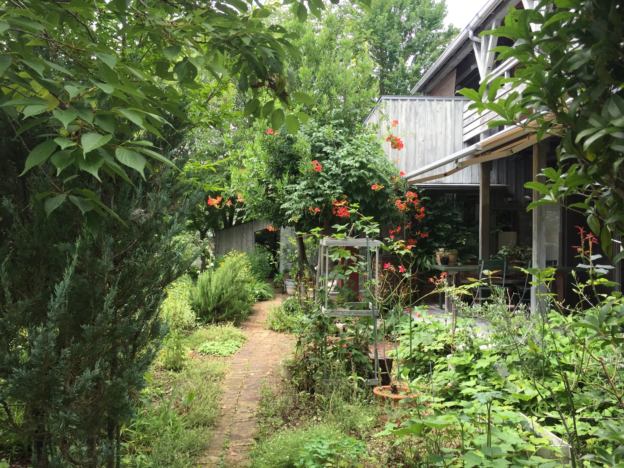 夏の庭と、自作のデッキ。レンガの舗石も夫婦で敷き込みました。奥の斜めの塀は「八ヶ岳降ろし」を防ぎ、冬の庭に陽だまりをつくります。